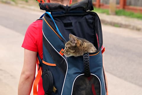 Sac de transport chat Sherpa
