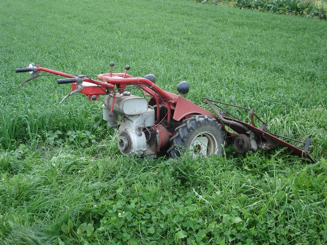 Motoculteur thermique 6,5 ch avec fraises — photo 1 sur 2