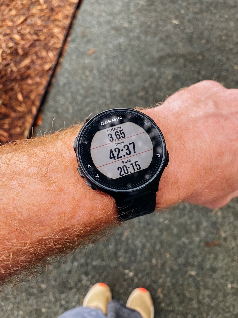 Montre connectée Garmin Forerunner 255 — photo 1 sur 3