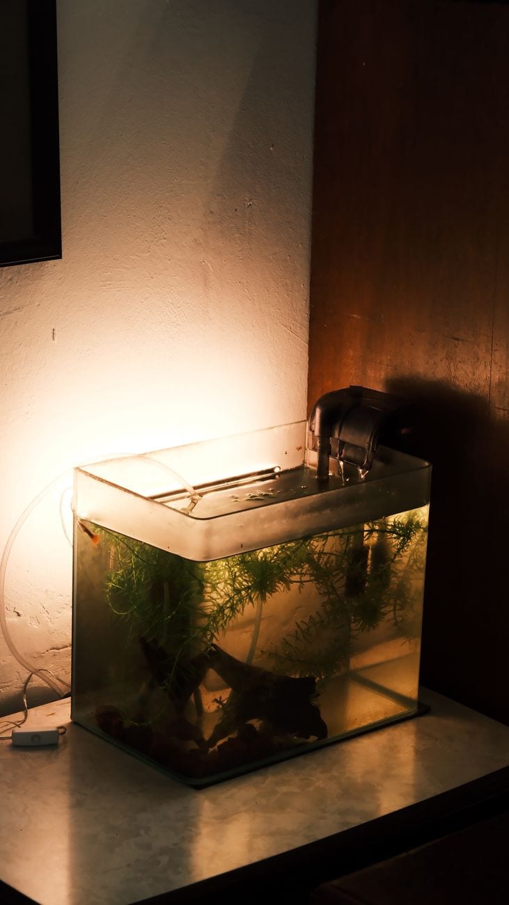 Aquarium 120 L complet avec meuble — photo 1 sur 3