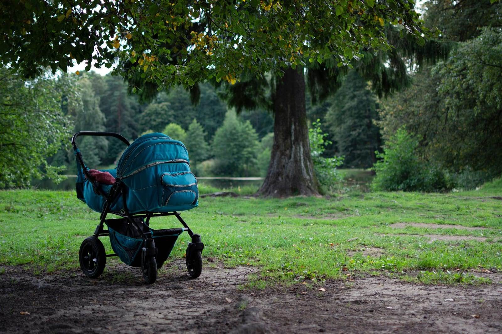 Poussette Bugaboo Bee 6 beige — photo 1 sur 3