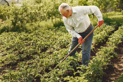 Motobineuse Einhell 140 cm³, 4 fraises