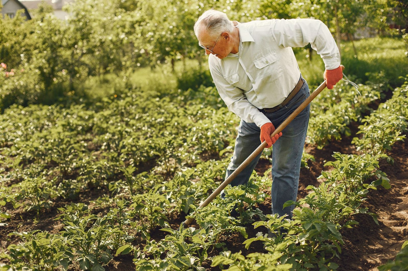 Motobineuse Einhell 140 cm³, 4 fraises — photo 1 sur 3