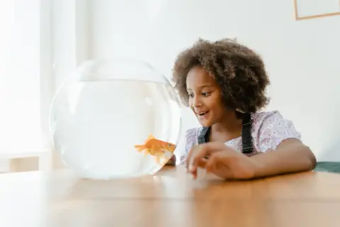 Aquarium 240 L complet avec meuble