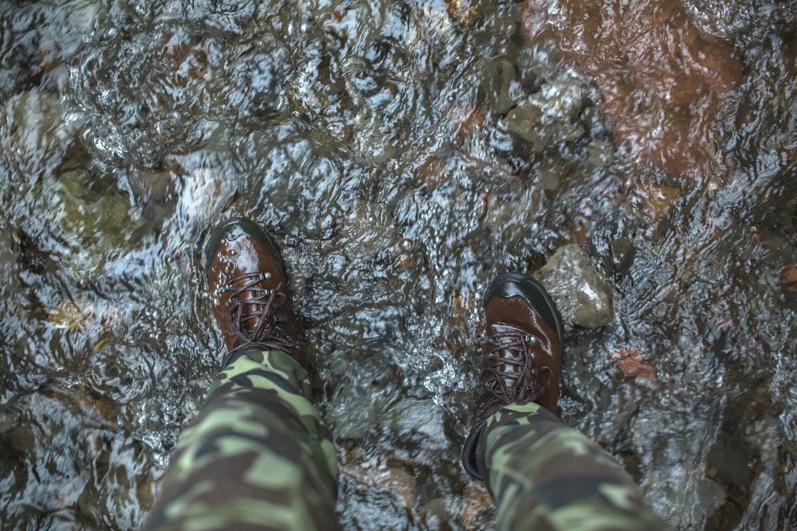 Chaussures de randonnée Merrell 43 — photo 1 sur 3