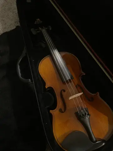 Violon 4/4 Stentor Student II