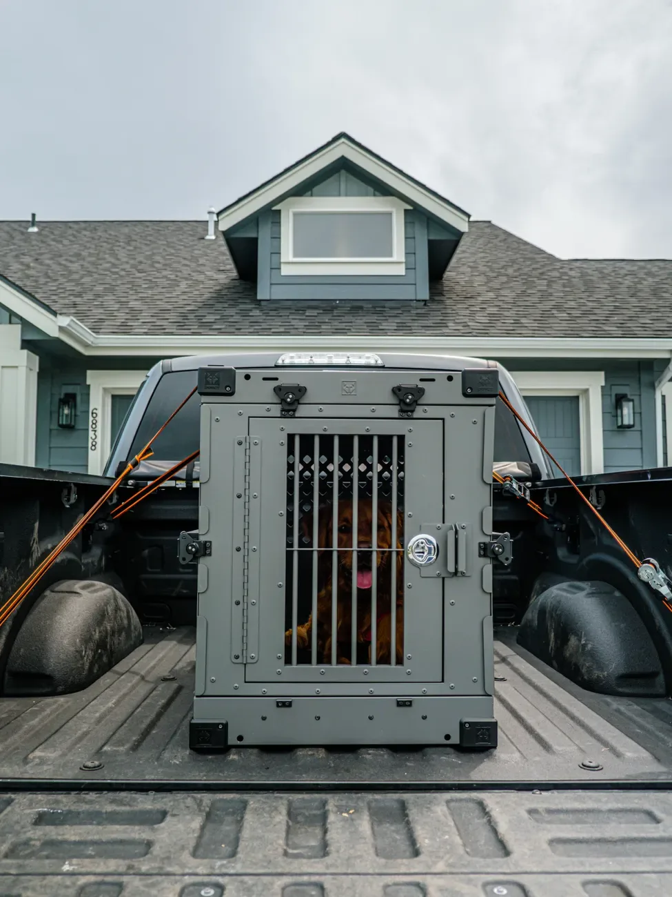 Caisse de transport chien Petmate M — photo 1 sur 2