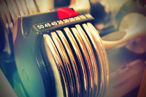 Set d'haltères Bowflex SelectTech 552 (la paire)